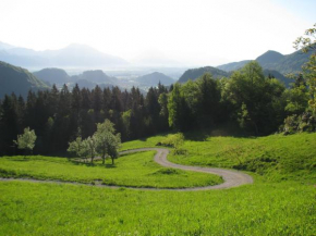 Vaznik Farm House Apartments Bled